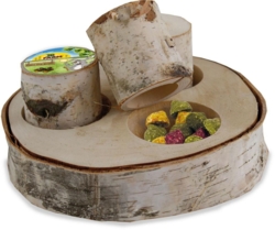 JR Farm Train the Brain Forest