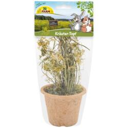 JR Farm Urtepotte til gnavere og dværgkaniner