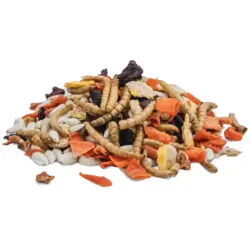 JR Tiny Treats Protein Mix 100 g | Snack med melorme og grøntsager til hamster