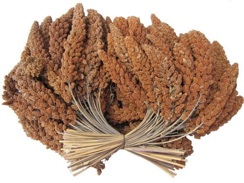 Hirsekolber franske røde 400g