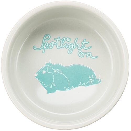 Marsvin foderskål 250 ml