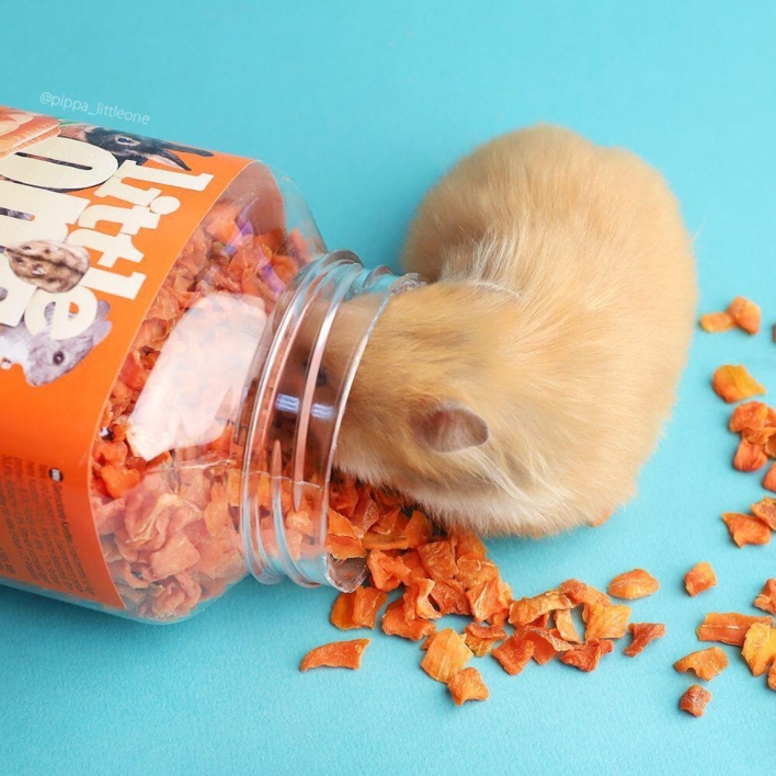 Little One Tørret gulerod 200 g