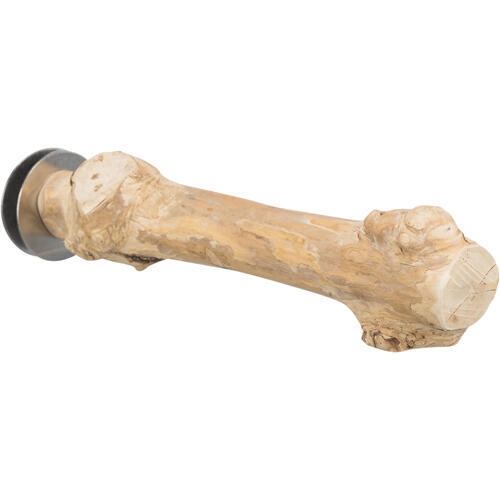 Siddepind i kaffetræ