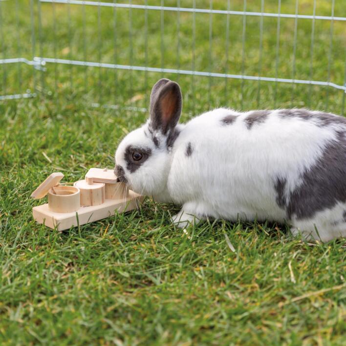 Snack Cups Aktivitetslegetøj | Intelligenslegetøj til gnaver og kanin