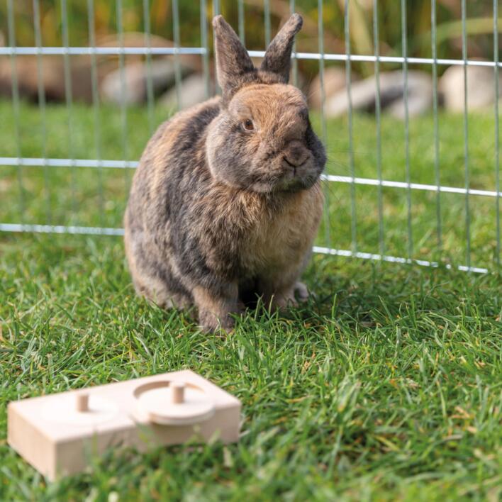 Todelt Snack Box til Kanin | Aktivitetslegetøj i træ