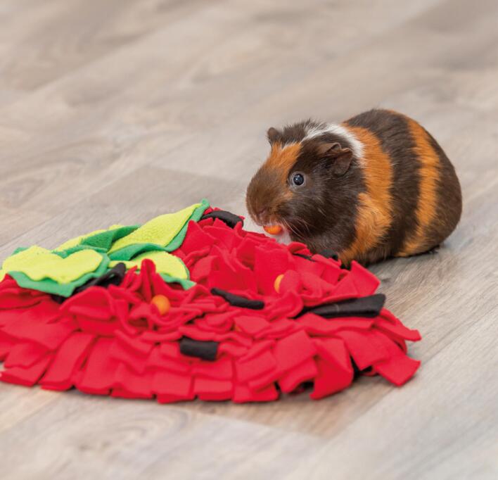 Trixie Jordbær Snusetæppe til Gnaver | Aktivitetslegetøj til kanin og smådyr