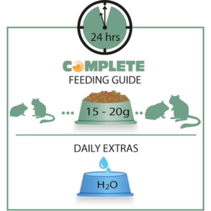 Versele-Laga Complete Hamster & Gerbil 500 g | Fuldfoder til hamster og ørkenrotte