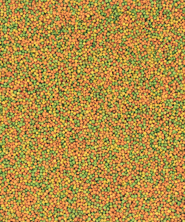 Nutribird B18 – 10 kg