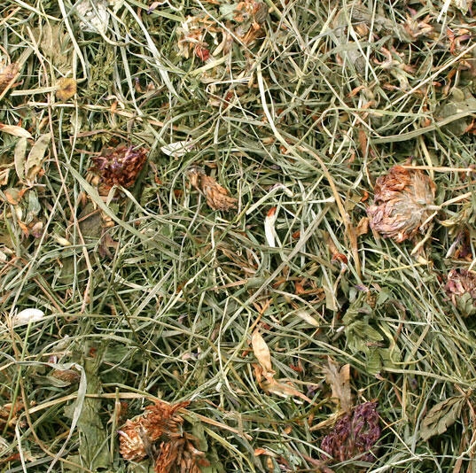 JR Farm Bjergenghø med Kløver 500g