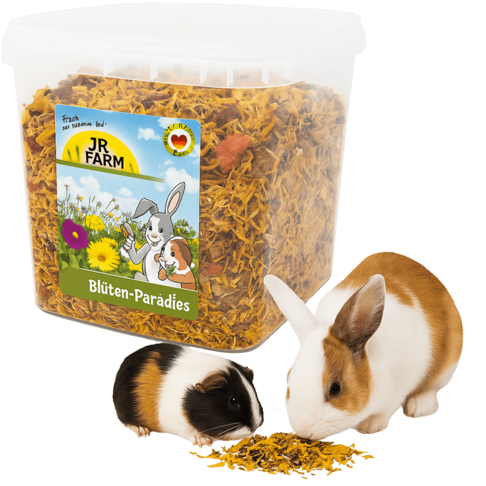 JR Farm Blomsterparadis i Spand – (5L / 500g) Naturlig Blomstermix til Kaniner og Gnavere