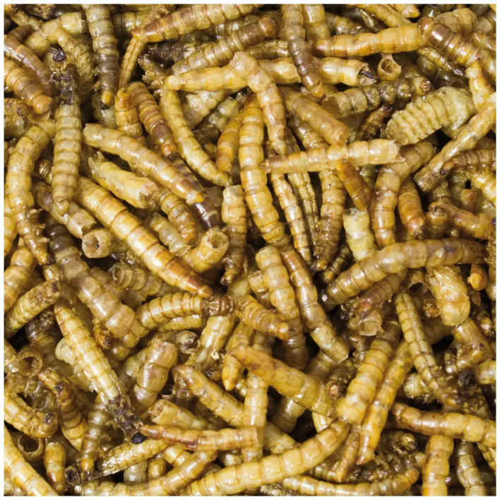 JR Farm Melorme i Spand - 400g