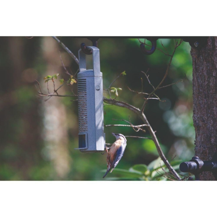 RW Foderholder til frø