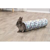 Sunny cuddly tunnel