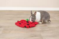 Trixie Strawberry Snuffle Mat for Small Rodents