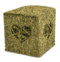 JR Farm Hay Cube with Mealworms
