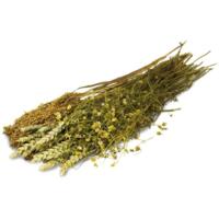 JR Farm Kamillehøst til kaniner og gnavere 80 g